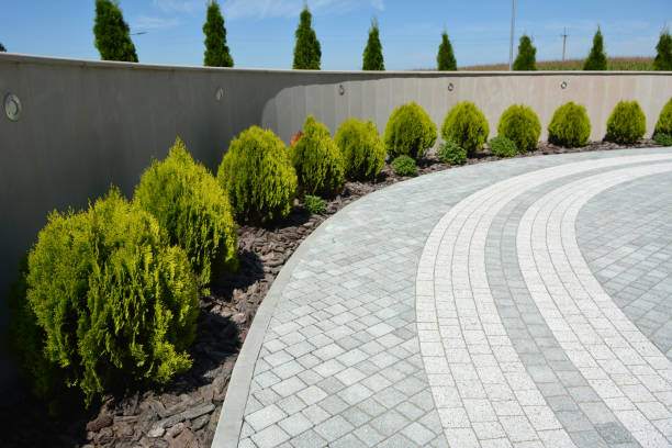 Professional Driveway Pavers in Hernando Beach, FL